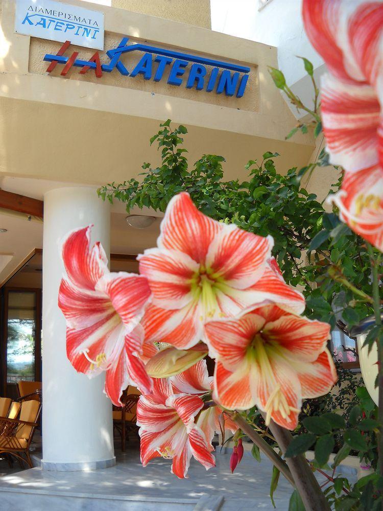 Katerini Apartments Hotel Платанес Экстерьер фото