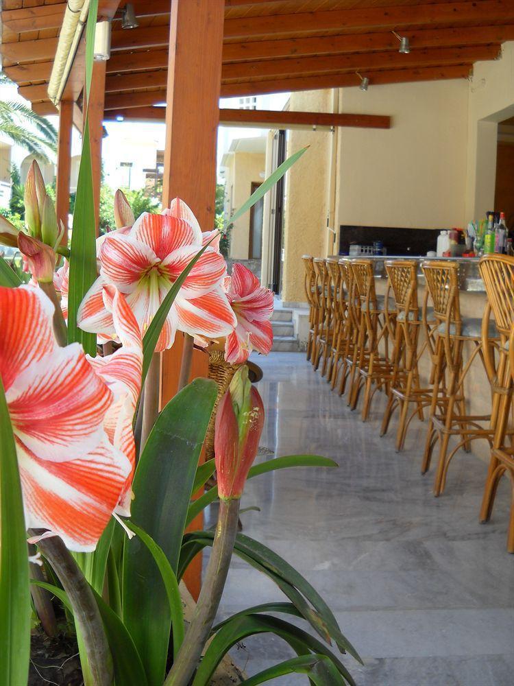 Katerini Apartments Hotel Платанес Экстерьер фото